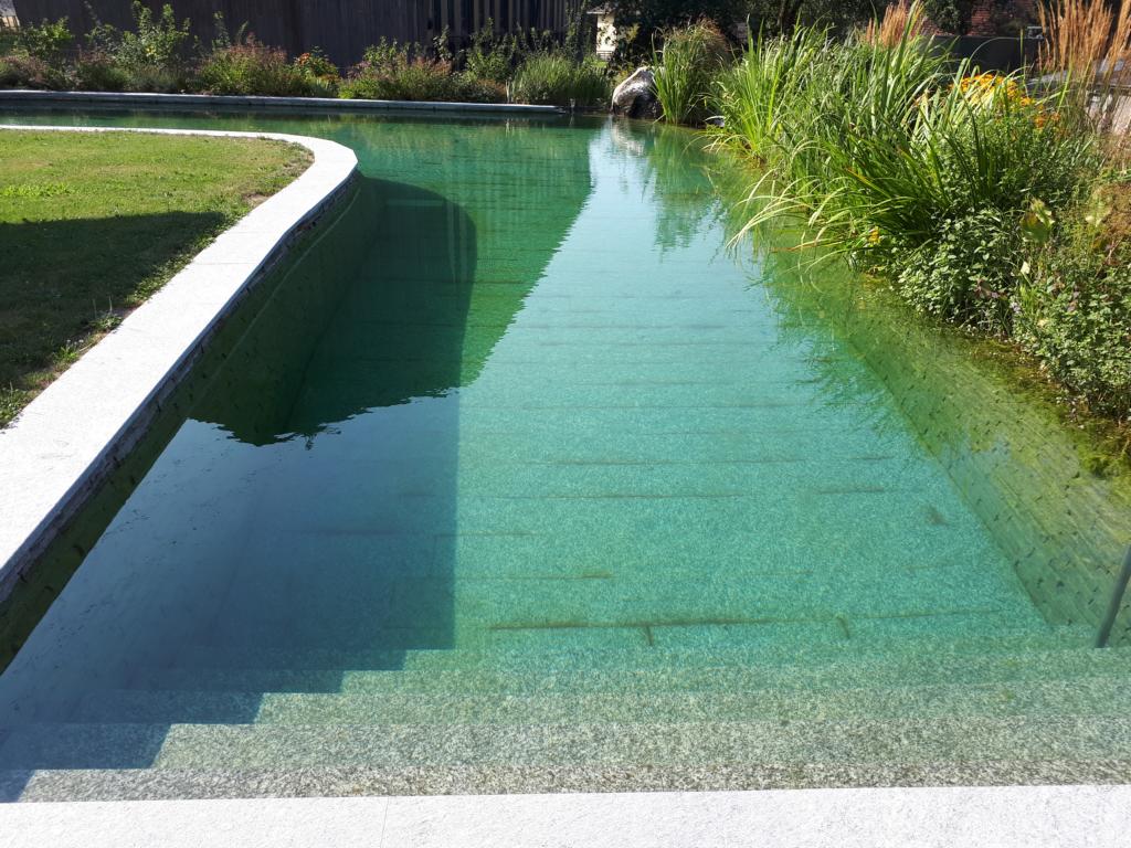 Schwimmteich Bern